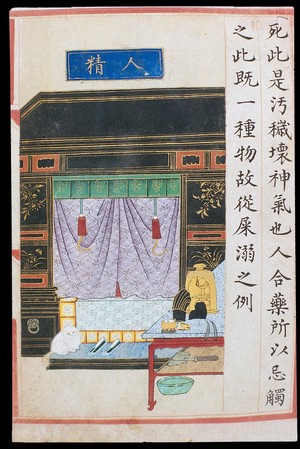 view 'Human essence/semen', C16 Chinese painted book illustration