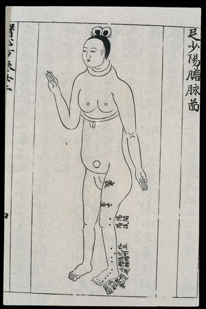 view Acupuncture prohibitions for pregnancy, Chinese/Japanese