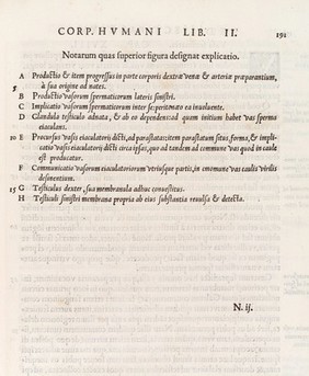 Page of Latin text, descriping an anotomical figure