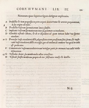view Page of Latin text, descriping an anotomical figure