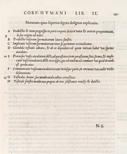 Page of Latin text, descriping an anotomical figure
