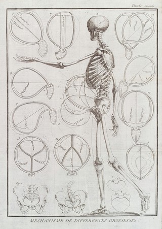 L'art des accouchemens, démontré par des principes de physique et de mechanique. Pour servir d'introduction & de base à des leçons particulières / Par M. André Levret.