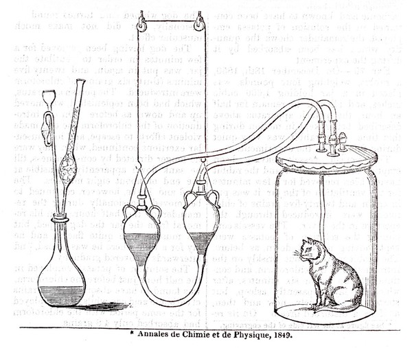 Experiment on excretion of Carbonic acid gas by animals.