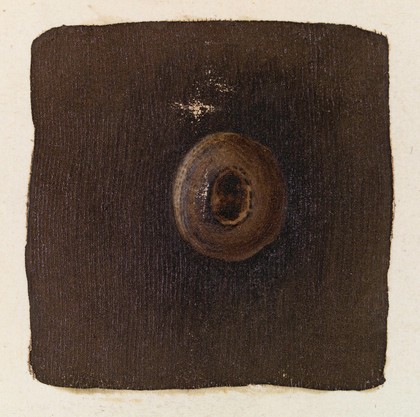 A close-up of a cow pock mark.