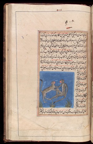 view Two monkeys taken from a Persian manuscript on the natural sciences in Nasta'liq script