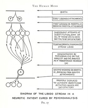 Diagram of the libido stream in a neurotic patient cured by psychoanalysis.