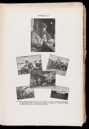 view Montage of photographs in connection with the Bubonic plague