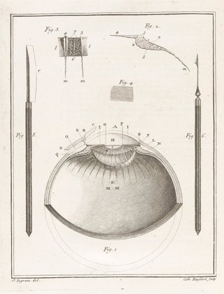 De cataracta. Theses ex anatomia et chirurgia ... / [Jacques Tenon].