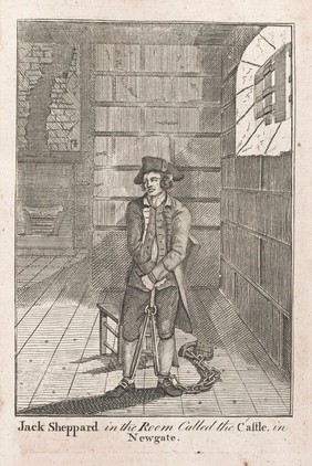 The new and complete Newgate calendar; or, villany displayed in all its branches ... Containing ... narratives ... of the various executions and other exemplary punishments ... in England, Wales, Scotland and Ireland, from the year 1700 to the present time / by William Jackson.