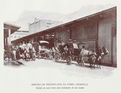 Os serviços de saúde publica no Brasil : especialmente na cidade do Rio de Janeiro : de 1808 a 1907 / organisado pelos P. e C. Barbosa de Rezende, por do ordem do O. Gonçalves Cruz.