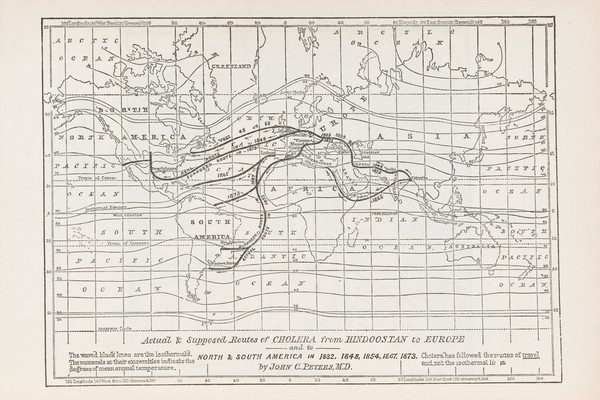 A treatise on asiatic cholera / edited and prepared by Edmund Charles Wendt ; in association with John C. Peters [and others].