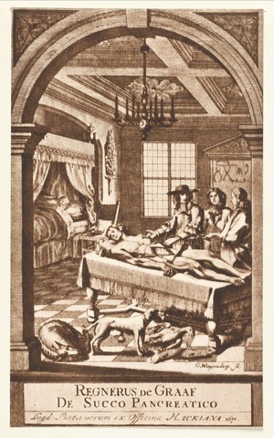 view An anatomical dissection by Reinier de Graaf, taking place in a room with a patient in bed. Reproduction, 1927, of an engraving by G. Wingendorp, 1671.