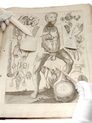 A survey of the microcosme; or, The anatomy of the bodies of man and woman. Wherein the skin, veins, arteries, nerves, muscles, viscera, bones, and ligaments thereof are accurately delineated, and so disposed by pasting, as that all parts of the said bodies, both internal and external, are exactly represented in their proper site. Useful for all physicians, chyrurgeons, statuaries, painters, &c / By Michael Spaher of Tyrol, and Remilinus. Corrected by Clopton Havers.