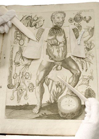 A survey of the microcosme; or, The anatomy of the bodies of man and woman. Wherein the skin, veins, arteries, nerves, muscles, viscera, bones, and ligaments thereof are accurately delineated, and so disposed by pasting, as that all parts of the said bodies, both internal and external, are exactly represented in their proper site. Useful for all physicians, chyrurgeons, statuaries, painters, &c / By Michael Spaher of Tyrol, and Remilinus. Corrected by Clopton Havers.