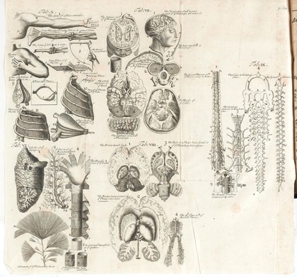 Bibliotheca anatomica, medica, chirurgica, &c. Containing a description of the several parts of the body: each done by some one or more eminent physician or chirurgeon; with their diseases and cures. Wherein are not only all the tracts of use that are in the second edition of the Bibliotheca anatomica, lately publish'd by Daniel Clericus and Jacob Mangetus ... but in addition also of near double the number of other curious tracts.