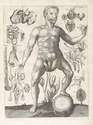 A survey of the microcosme; or, The anatomy of the bodies of man and woman. Wherein the skin, veins, arteries, nerves, muscles, viscera, bones, and ligaments thereof are accurately delineated, and so disposed by pasting, as that all parts of the said bodies, both internal and external, are exactly represented in their proper site. Useful for all physicians, chyrurgeons, statuaries, painters, &c / By Michael Spaher of Tyrol, and Remilinus. Corrected by Clopton Havers.