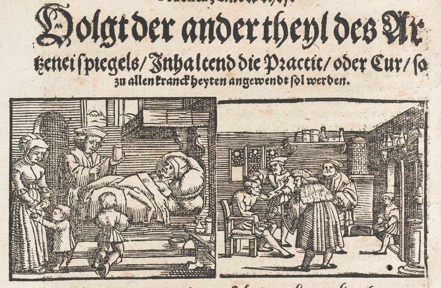 Der gantzen Artzenei ge-meyner Inhalt, Wes einem Artzt, bede in der Theoric und Practic zusteht. Mit anzeyge be-werter Artzneienn, zü allen leibichen Gebrechenn, / durch natürliche mittel, Hiebei beneben des menschen corpers Anatomei, warhafft Contrafeyt, und beschriben. Allen Artz-ten, und eim ieden zu sein selbs, unnd seins nehsten noturfft dienlich, wol zu haben und zuwissen. Newlich in Truck verordnet durch D. Ioan. Dryandrum Medicum, Ordinarium zu Marpurgi. ... Cum gratia & priuilegio Imperiali.