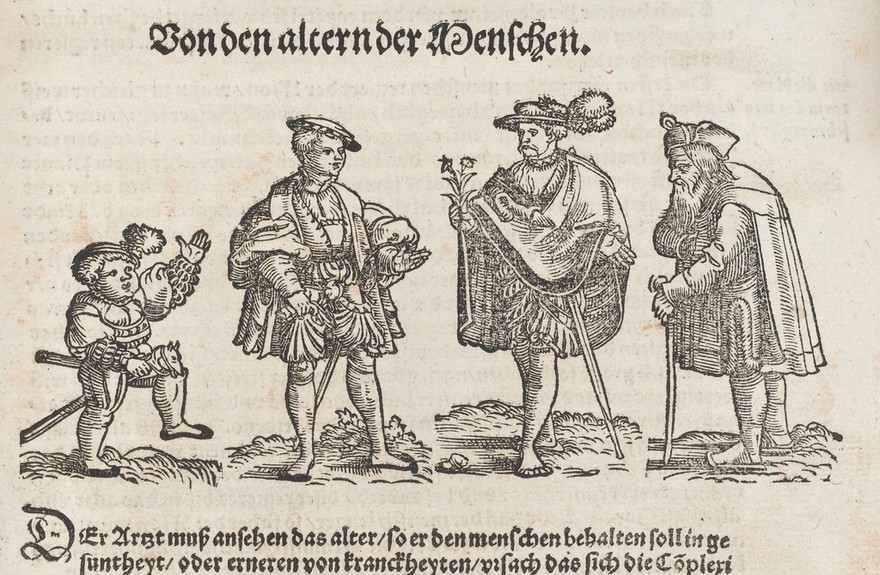 Der gantzen Artzenei ge-meyner Inhalt, Wes einem Artzt, bede in der Theoric und Practic zusteht. Mit anzeyge be-werter Artzneienn, zü allen leibichen Gebrechenn, / durch natürliche mittel, Hiebei beneben des menschen corpers Anatomei, warhafft Contrafeyt, und beschriben. Allen Artz-ten, und eim ieden zu sein selbs, unnd seins nehsten noturfft dienlich, wol zu haben und zuwissen. Newlich in Truck verordnet durch D. Ioan. Dryandrum Medicum, Ordinarium zu Marpurgi. ... Cum gratia & priuilegio Imperiali.