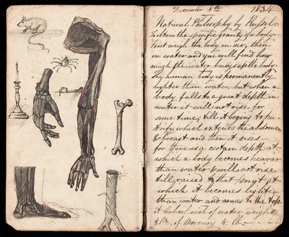 Lecture notes and sketchs of bones and muscle structure by Dr Thomas Graham taken during a lecture by Russel on Natural Philosophy on 8th December 1834 in Edinburgh