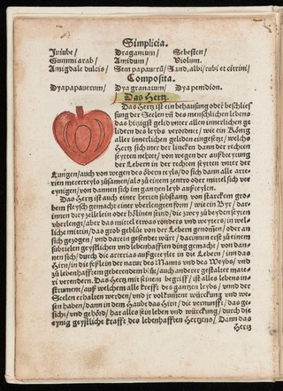 Ausslegung und Beschreybung der Anatomi, oder, warhafften Abconterfetung eines inwendigen Cörpers des Manns und Weybes : mit Erklerung seiner innerlichen Gelider, wie und wo hyn ein yedes von Gott erschaffen un[d] geordnet, das menschlich Leben zu auffenthalten / [Attrib. to Heinrich Vogtherr].