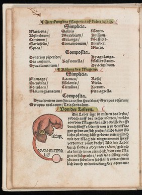 Ausslegung und Beschreybung der Anatomi, oder, warhafften Abconterfetung eines inwendigen Cörpers des Manns und Weybes : mit Erklerung seiner innerlichen Gelider, wie und wo hyn ein yedes von Gott erschaffen un[d] geordnet, das menschlich Leben zu auffenthalten / [Attrib. to Heinrich Vogtherr].