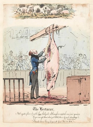 Robert Knox lecturing on the anatomy of the pig. Coloured lithograph.
