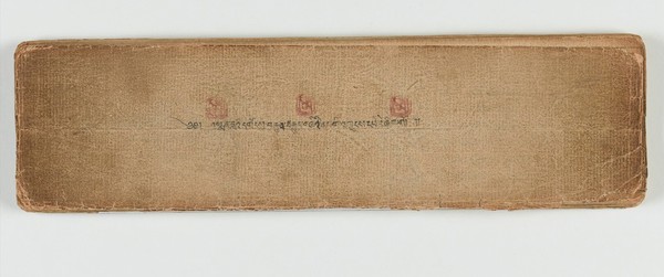 Tibetan plant manuscript