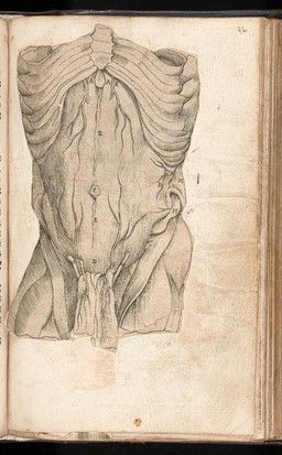 The byrth of mankynde, otherwyse named the womans booke : Newly set furth, corrected and augmented. Whose co[n]tentes ye maye rede in the table of the booke, and most playnly in the prologue / By Thomas Raynold phisition.