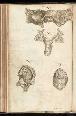 The byrth of mankynde, otherwyse named the womans booke : Newly set furth, corrected and augmented. Whose co[n]tentes ye maye rede in the table of the booke, and most playnly in the prologue / By Thomas Raynold phisition.