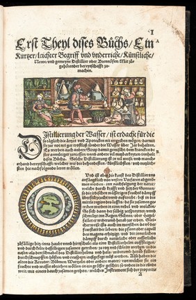 Kreuterbůch, von natürlichem Nutz, und gründtlichem Gebrauch der Kreutter, Bäum, Gesteud, unnd Früchten, fürnemlich Teutscher Lande. Deszgleichen der Gethier, edlen Gesteyn, Metal, und anderer Simplicien und Stucken der Artznei. Mit aller deren fleissiger Beschreibung, und leblichen Abconterfeytungen. Distillierns Bereydtschafft, und Bericht, kostbarliche Wasser zubrennen, abziehen, halten, und zugebrauchen / [Eucharius Rösslin].