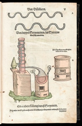 Kreuterbůch, von natürlichem Nutz, und gründtlichem Gebrauch der Kreutter, Bäum, Gesteud, unnd Früchten, fürnemlich Teutscher Lande. Deszgleichen der Gethier, edlen Gesteyn, Metal, und anderer Simplicien und Stucken der Artznei. Mit aller deren fleissiger Beschreibung, und leblichen Abconterfeytungen. Distillierns Bereydtschafft, und Bericht, kostbarliche Wasser zubrennen, abziehen, halten, und zugebrauchen / [Eucharius Rösslin].