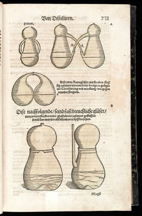 Kreuterbůch, von natürlichem Nutz, und gründtlichem Gebrauch der Kreutter, Bäum, Gesteud, unnd Früchten, fürnemlich Teutscher Lande. Deszgleichen der Gethier, edlen Gesteyn, Metal, und anderer Simplicien und Stucken der Artznei. Mit aller deren fleissiger Beschreibung, und leblichen Abconterfeytungen. Distillierns Bereydtschafft, und Bericht, kostbarliche Wasser zubrennen, abziehen, halten, und zugebrauchen / [Eucharius Rösslin].