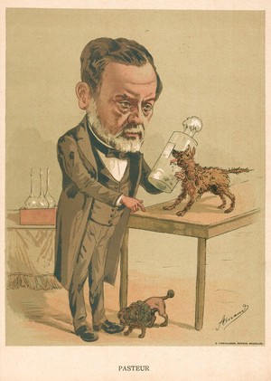 view Louis Pasteur. Colour lithograph by Amand, 188-(?).