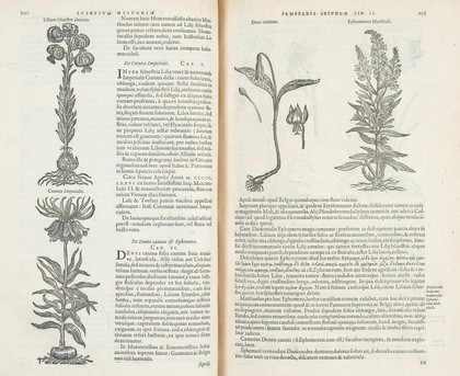 Stirpium historiae pemptades sex. Sive libri XXX / [Rembert Dodoens].