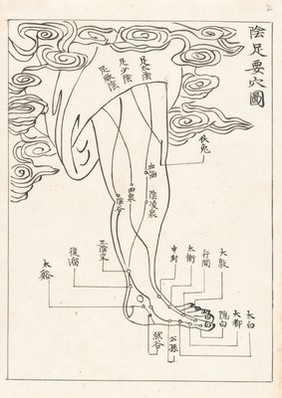 Acupuncture points and meridians. The foot taken from I-tsung chiu-chien, 'The Golden Mirror of Medicine' a compendium of medical works edited by Wu Chien and first published in 1742