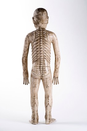 Acupuncture Figure