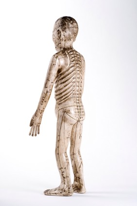 Acupuncture Figure