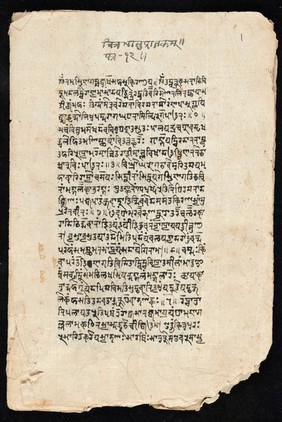 Sanskrit manuscript 1219.