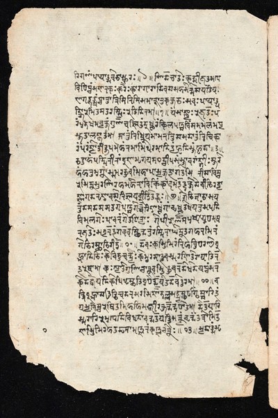 Sanskrit manuscript 1219.