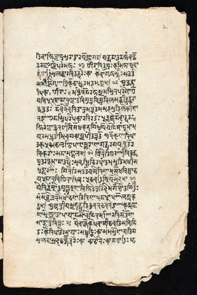 Sanskrit manuscript 1219.