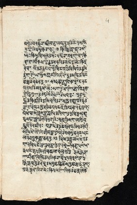 Sanskrit manuscript 1219.