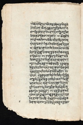 Sanskrit manuscript 1219.