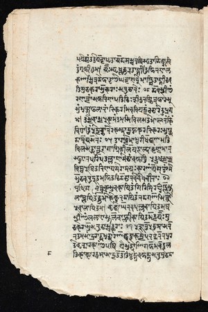 view Sanskrit manuscript 1219.