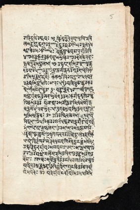 Sanskrit manuscript 1219.