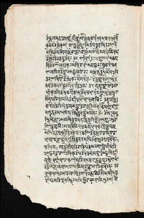 Sanskrit manuscript 1219.