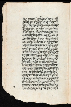 view Sanskrit manuscript 1219.