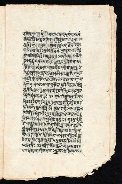 Sanskrit manuscript 1219.