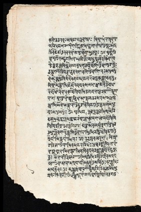 Sanskrit manuscript 1219.