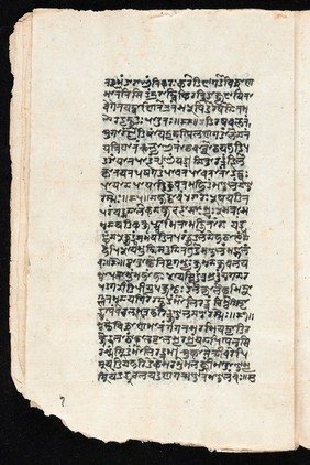 Sanskrit manuscript 1219.