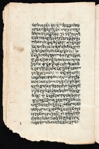 Sanskrit manuscript 1219.